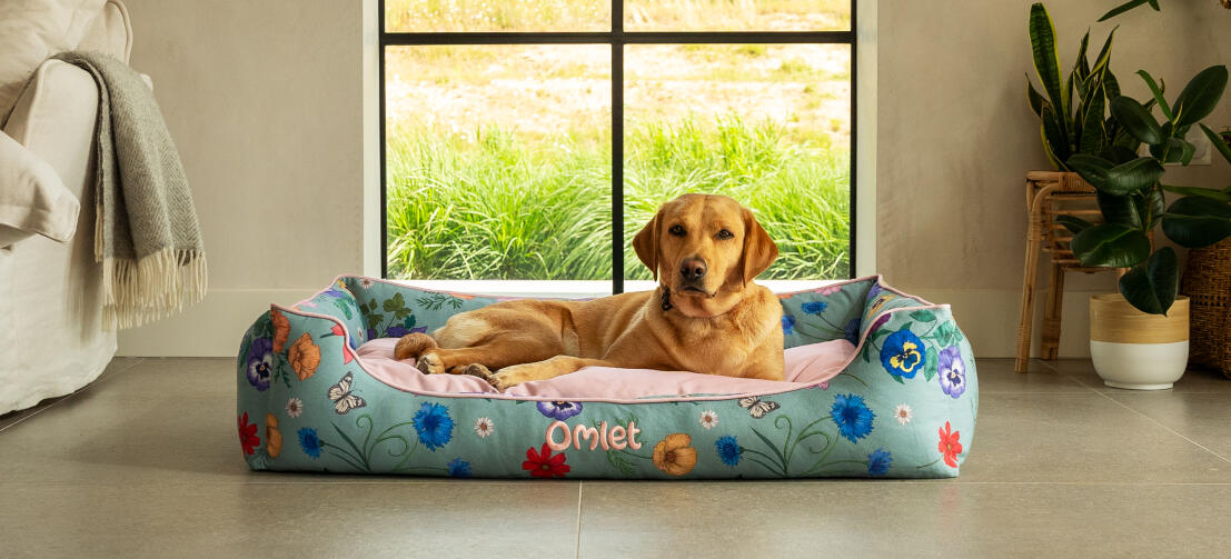 Retriever auf großem nest hundebett in gardenia salbei druck.