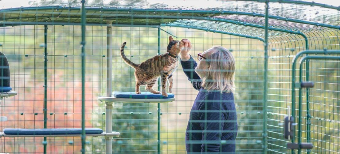 Mann und katze in einem katzengehege, die den personalisierten kratzbaum für draußen genießen
