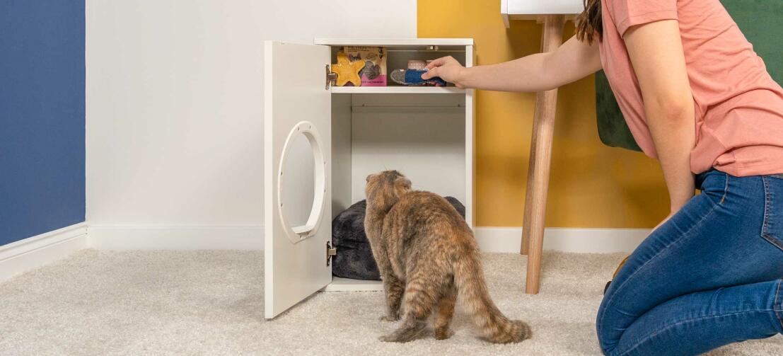 Dame, die die aufbewahrung des Maya katzenhauses überprüft, während die katze es untersucht