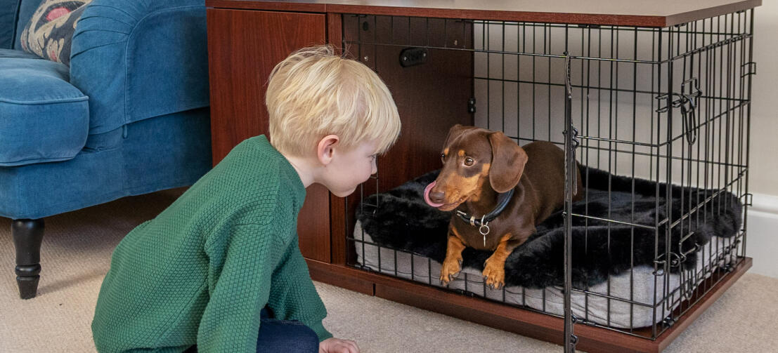 Ein Kind schaut seinem Hund zu