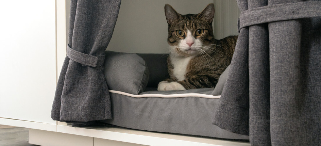 Durch das Anheben des Katzenbettes vom Boden, bietet das Katzenhaus Maya Nook Schutz vor Zugluft und anderen unerwünschten Störungen