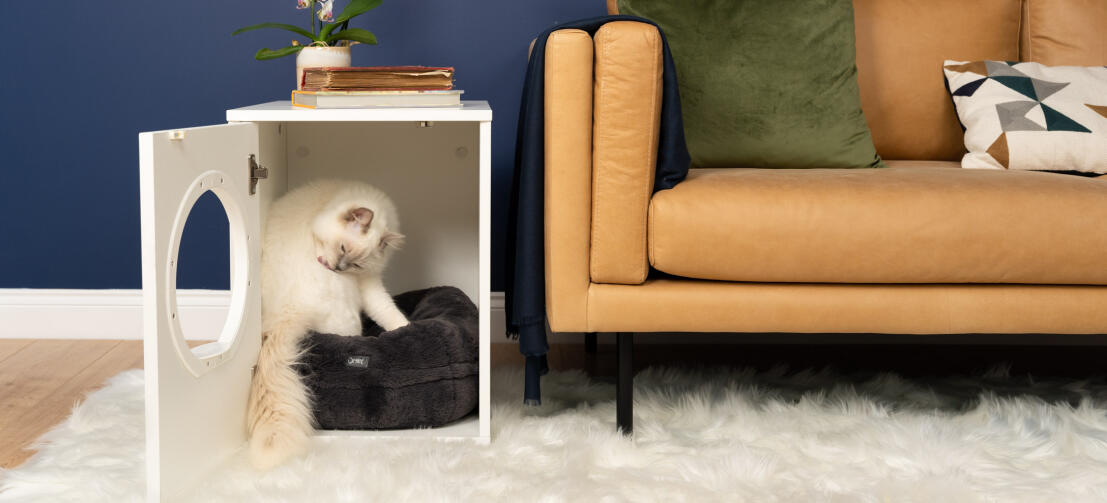 Süße weiße flauschige katze sitzt in Maya indoor-katzenhaus auf einem schwarzen Maya donut-katzenbett neben dem sofa
