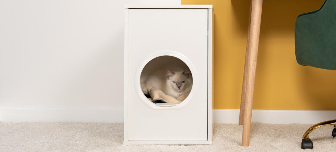 Weiße flauschige katze sitzt im inneren von Maya indoor-katzenhaus