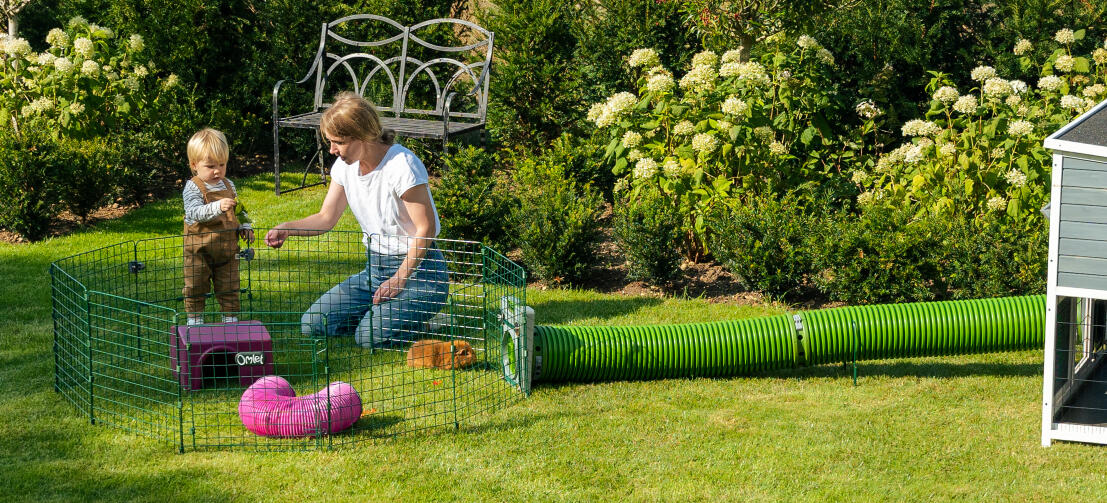 Eine familie, die mit meerschweinchen im garten spielt, mit Zippi tunneln, die den Zippi laufstall mit einem holzverschlag verbinden.