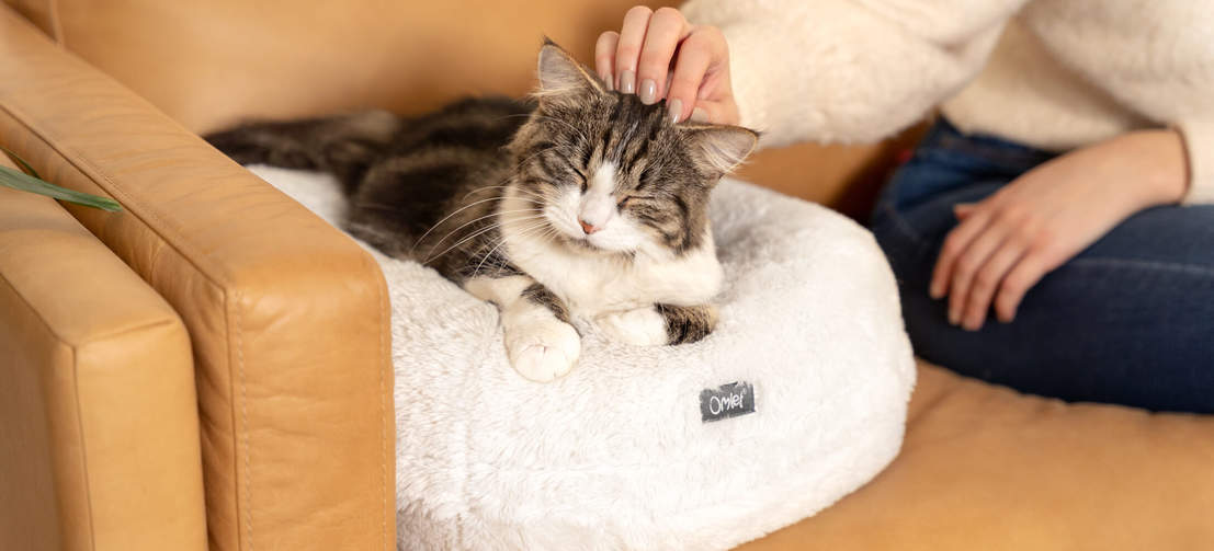 Das stützende Donut-Kissen des Katzennests bewahrt seine Form und sorgt für kuschelige Wärme und dauerhafte Behaglichkeit.