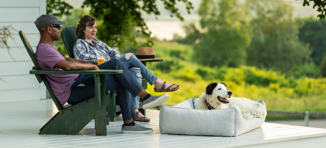 Ein Hund ruht sich auf einer Terrasse auf dem Hundenest in Corduroy Pebble aus, während seine Halter hinter ihm auf Holzstühlen sitzen.