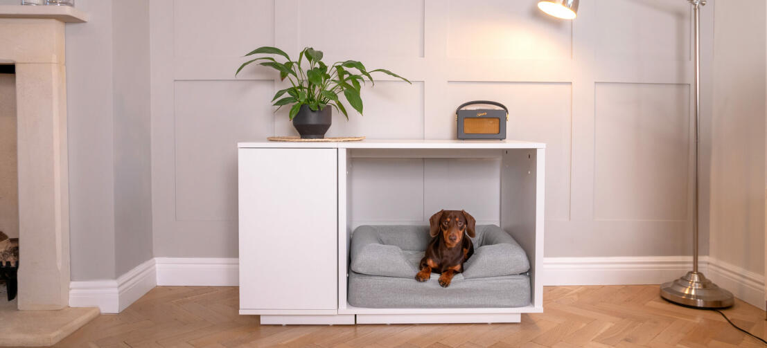Ein Hund in der Fido Nook Hundehütte auf dem Topology Hundebett mit Polster-Topper