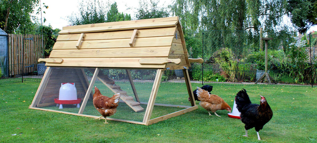 Entfernen Sie die Tür des Boughton-Hühnerstalls, sodass Ihre Hühner im Garten frei herumlaufen können