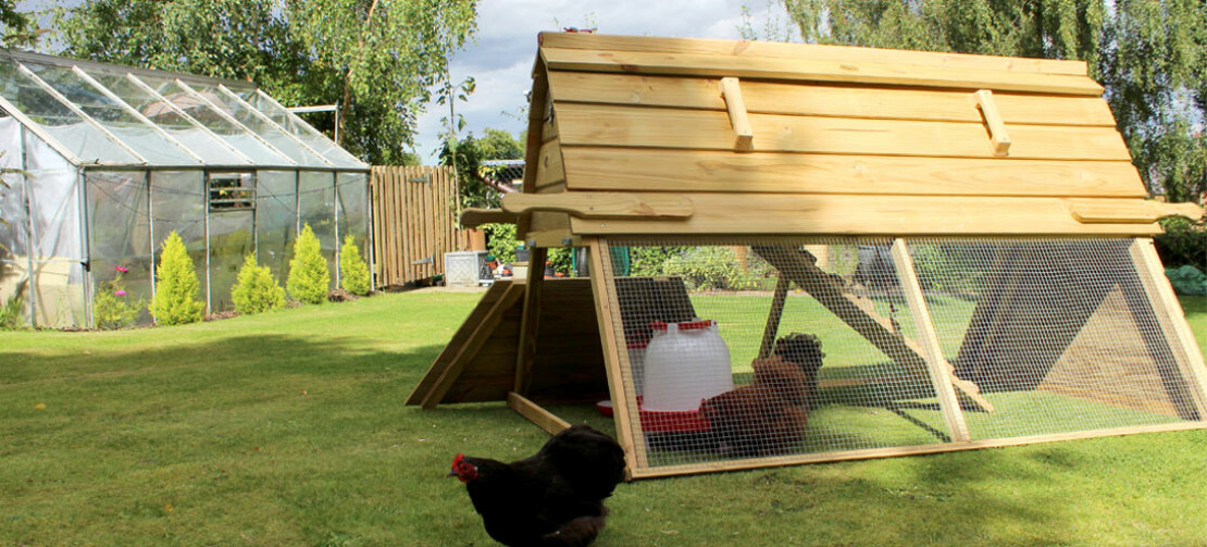 Der Boughton Hühnerstall hat eine Tür, durch welche die Hühner zum Freilaufen nach draußen gelangen können