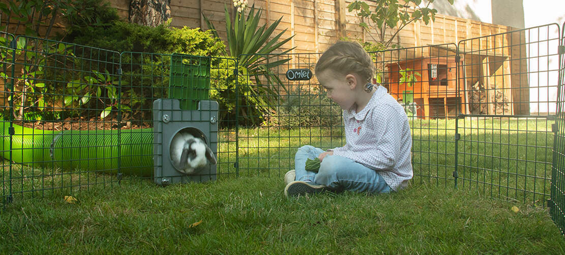 Für Kinder ist es ein Riesenspaß die Kaninchen im Zippi zu beobachten