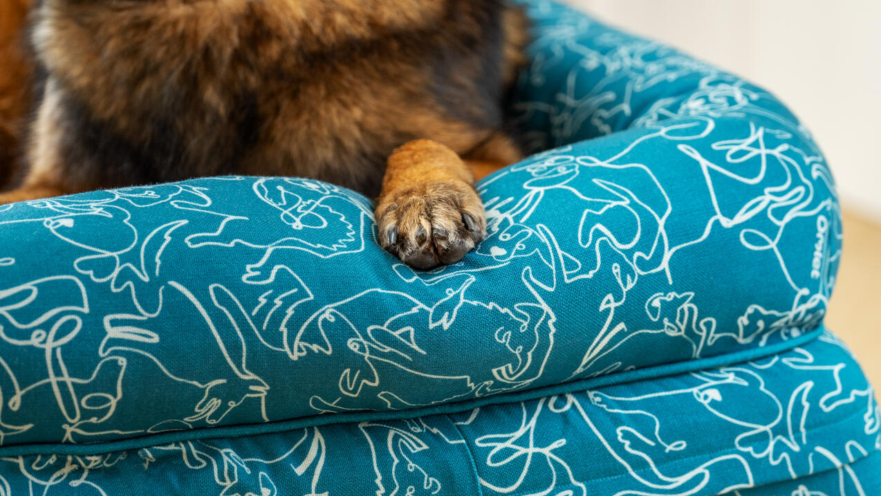 Detail des blauen doodle-hundedruck-nackenbetts