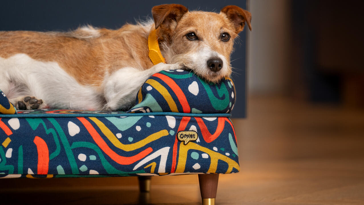 Kleiner terrier auf einem nackenrollenbett mit fettdruck