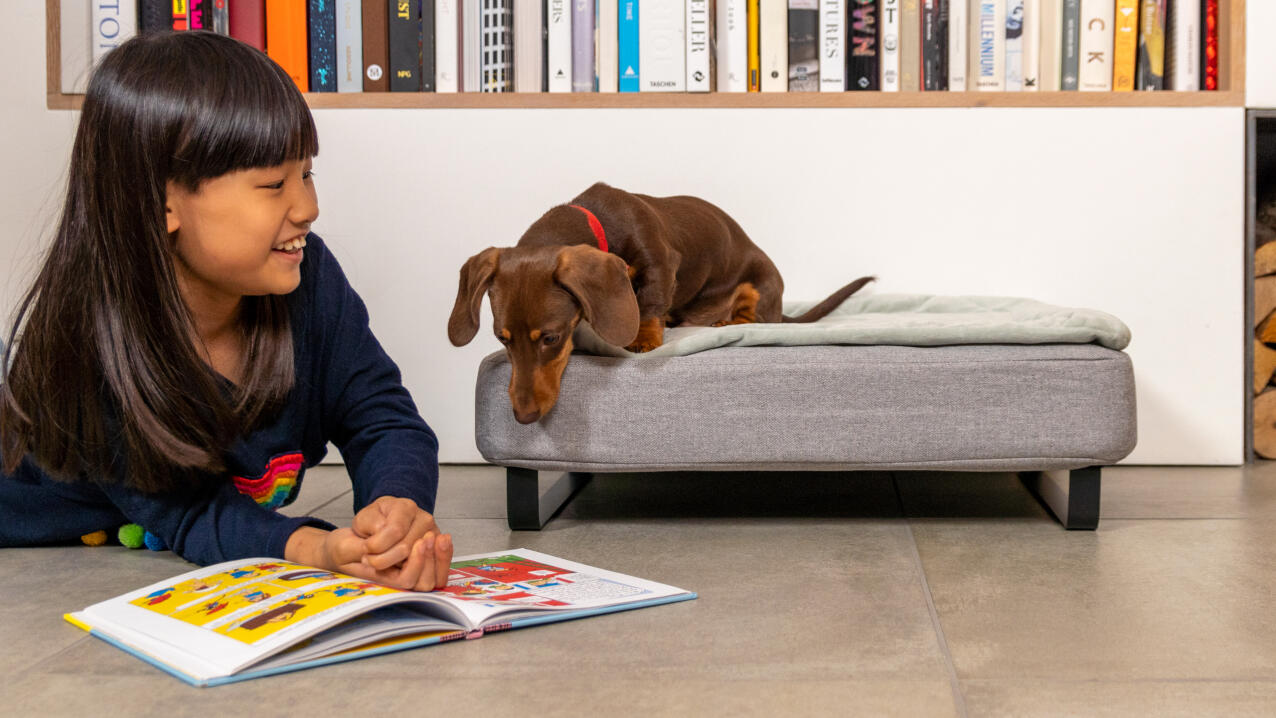 Kleines mädchen liest ein buch neben einer wurst auf einem Topology hundebett
