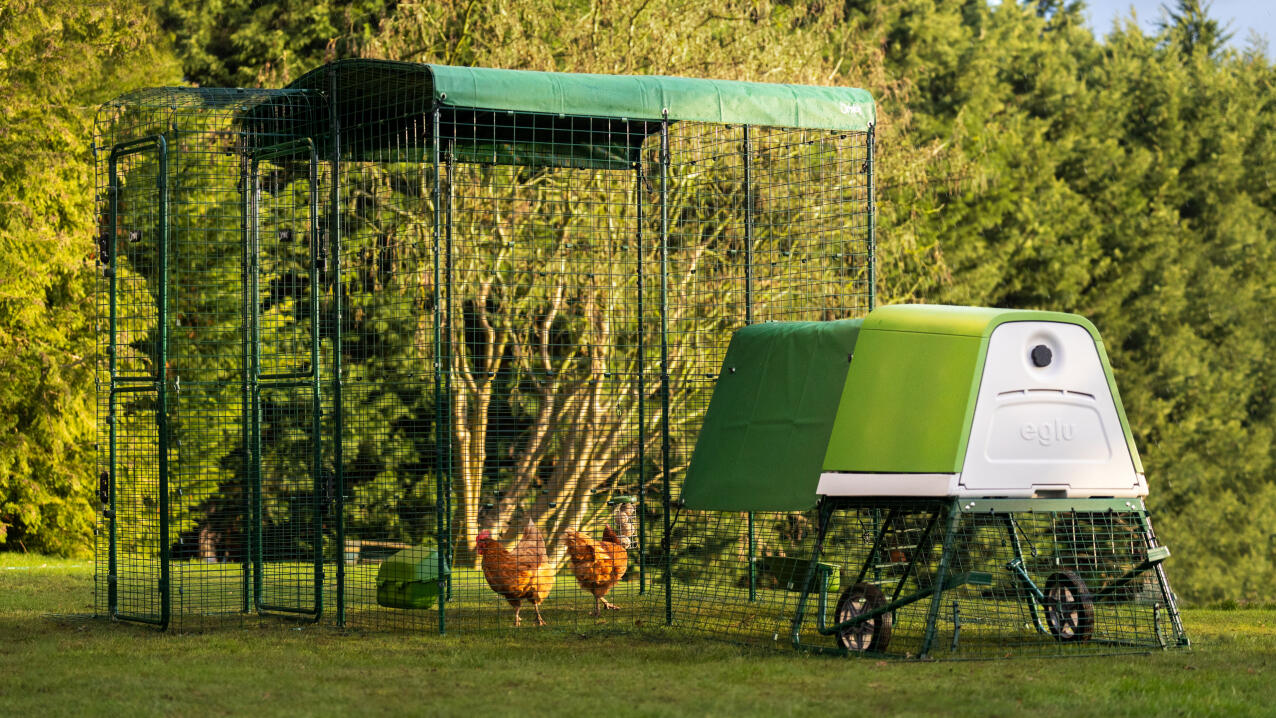Eglu Go up verbunden mit einem walk-in-run