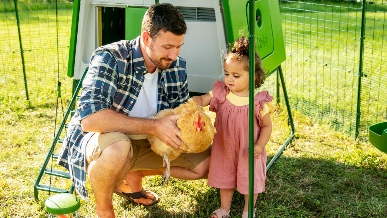 Mann mit seiner tochter, die ein huhn im auslauf eines stalls hält