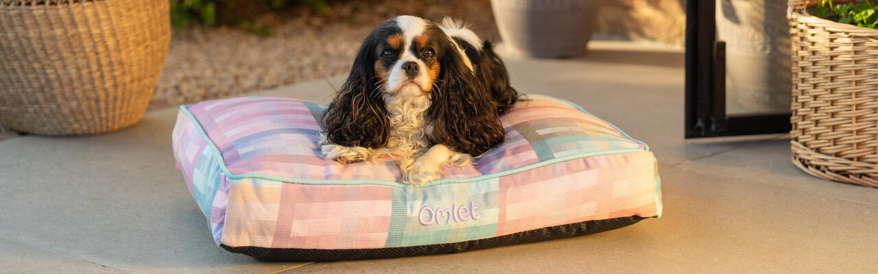 Spaniel sitzt auf kleinem kissen hundebett in prisma kaleidoskop druck - teil der gardenia kollektion von Omlet.