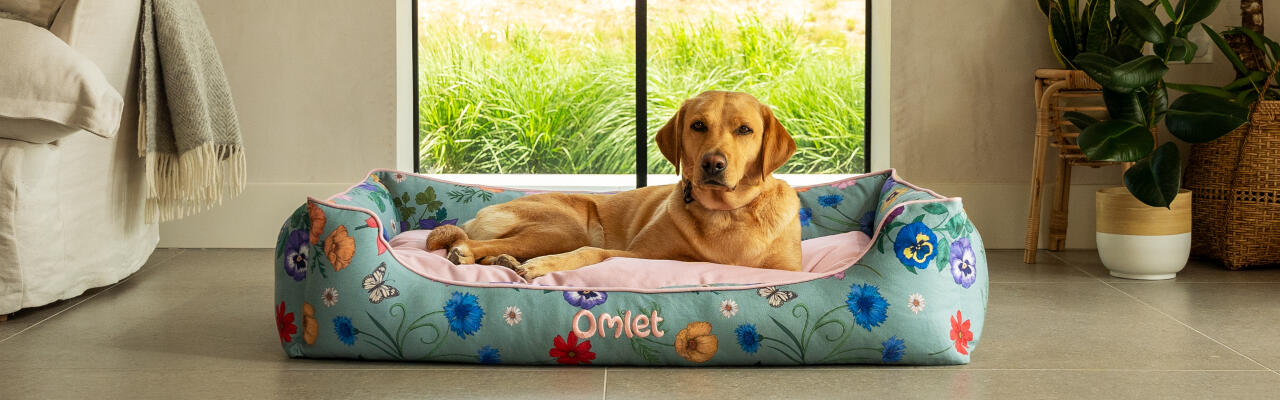 Labrador retriever auf großem nest hundebett in gardenia salbei druck.