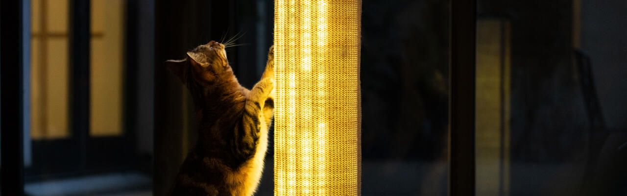 Switch nachhaltiger, leuchtender sisal-kratzbaum für katzen