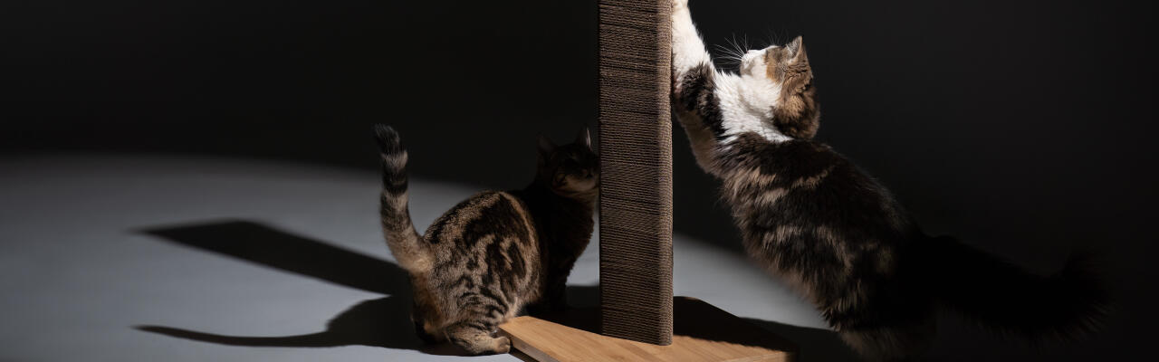 Groß Stak nachhaltiger katzenkratzer aus karton