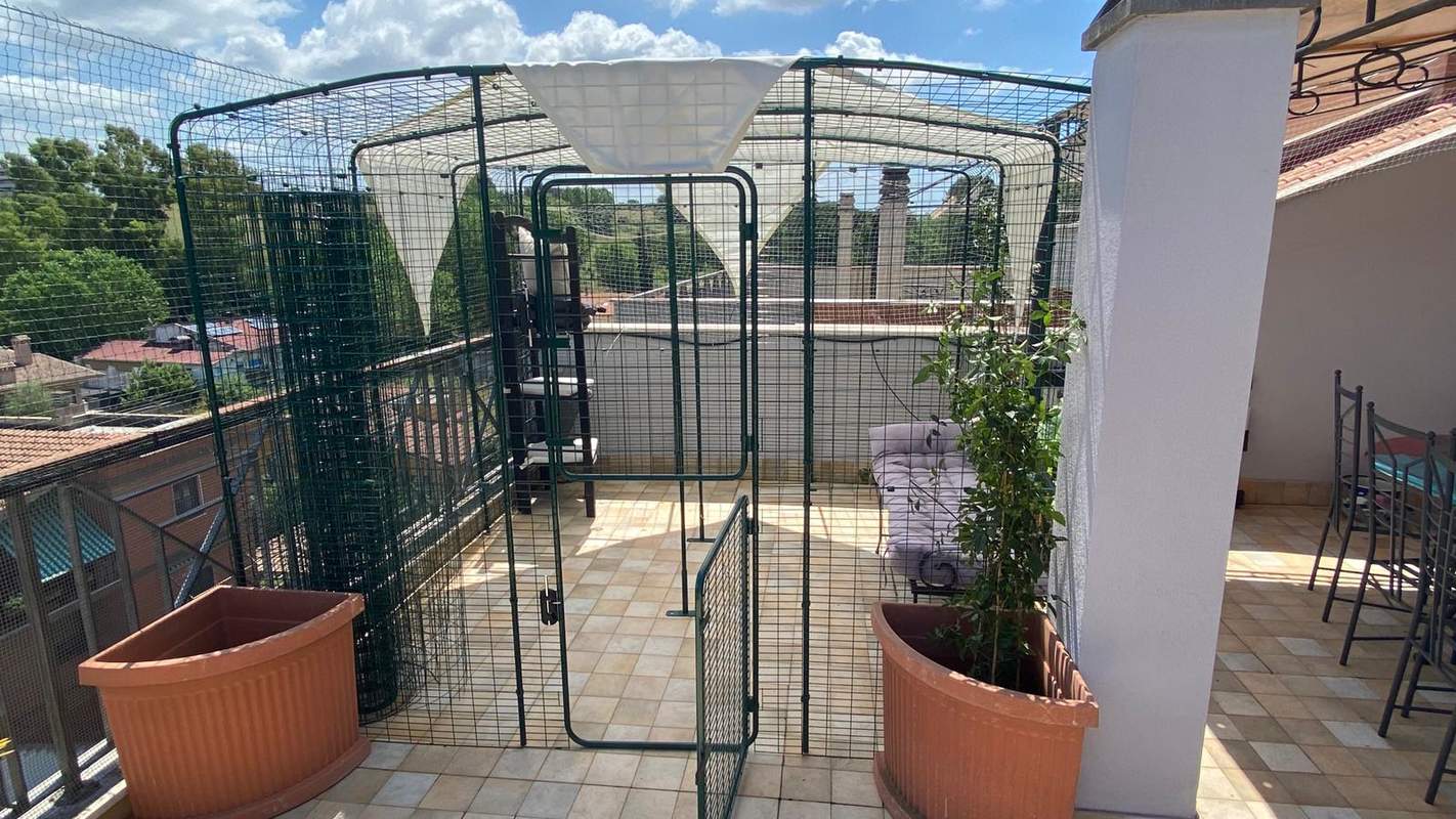 Outdoor Katzengehege Katzen Omlet