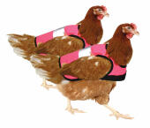 Doppelpack rosa warnwesten für hühner