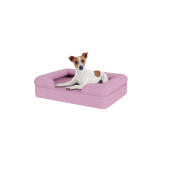 Hund sitzend auf kleinem lavendelfarbenem memory foam hundebett