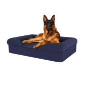 Hund sitzend auf mitternachtsblauem großen memory foam nackenrolle hundebett