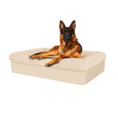 Hund sitzend auf natürlichem beigen großen memory-schaumstoff-nackenrolle hundebett