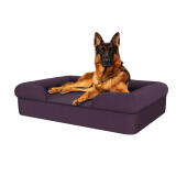 Hund sitzt auf pflaume lila großen speicher schaumstoff nackenrolle hundebett