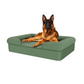 Hund sitzend auf salbeigrünem großen memory foam nackenrolle hundebett