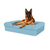 Hund sitzt auf himmelblauen großen memory-schaumstoff-nackenrolle hundebett