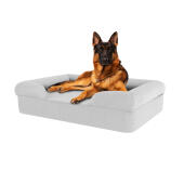 Hund sitzend auf steingrauem großen memory foam nackenrolle hundebett