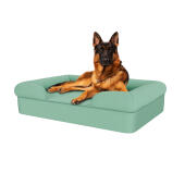Hund sitzt auf teal blauen großen memory foam nackenrolle hundebett