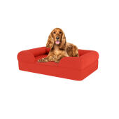 Hund sitzend auf kirschrotem medium memory foam nackenrolle hundebett