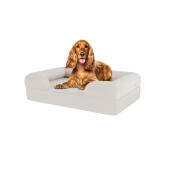 Hund sitzend auf mittelgroßem meringue weißem memory foam nackenrolle hundebett