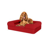 Hund sitzend auf mittelgroßem merlotrotem memory-foam-hundebett