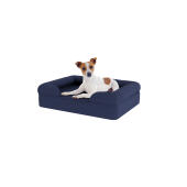 Hund sitzend auf kleinem mitternachtsblauem memory foam nackenrolle hundebett