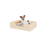 Hund sitzend auf kleinem beigefarbenem memory foam nackenrolle hundebett