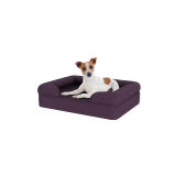 Hund sitzt auf kleinen pflaume lila memory foam nackenrolle hundebett