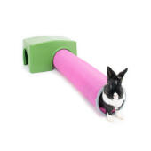 Kaninchen spielt im grünen Zippi unterstand und spieltunnel