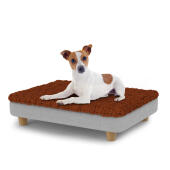Hund sitzt auf einem kleinen Topology hundebett mit mikrofaserauflage und runden holzfüßen