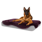 Hund sitzt auf großen Topology hundebett mit zwetschge lila schafsfell topper