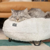Eine Katze schläft auf dem superweichen Maya Donut Katzenbett in Schneeballweiß mit anpassbaren Bettfüßen
