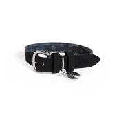 Omlet kleines hundehalsband wald herbst