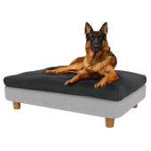 Deutscher schäferhund im großen Topology hundebett