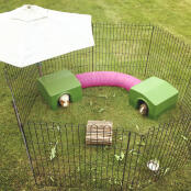 Zwei meerschweinchenunterkünfte, die durch einen kaninchentunnel verbunden sind.