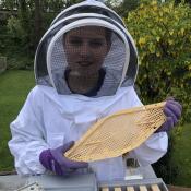 Bienenflug