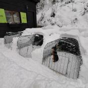 Drei Omlet Eglu Go kaninchenställe im garten, die mit Snow