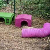 Röhren/tunnel für meerschweinchen