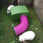 Miffy & smudge genießen ihr neues haus und ihre neue röhre.